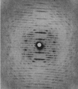 X ray diffraction pattern of TMV 